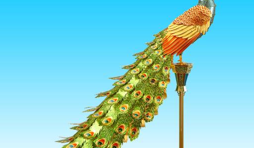 Colourful Peacock 七彩孔雀